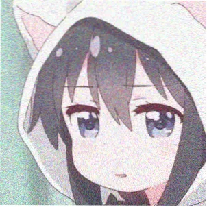 观众 池座十二排 头像